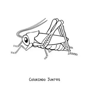 Desenho para colorir de um grilo grande