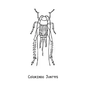 Desenho para colorir de um grilo