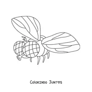 Desenho para colorir de uma mosca doméstica voando