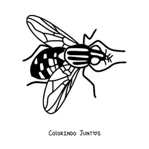 Desenho para colorir de uma mosca grande