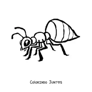 Desenho para colorir de uma formiga fácil