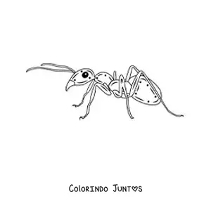 Desenho para colorir de uma formiga realista