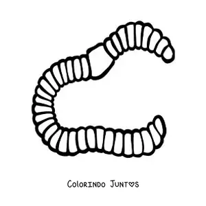 Desenho para colorir de anelídeo realista