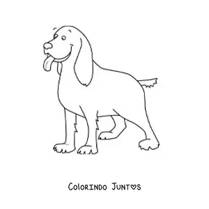 Desenho para colorir de um cocker spaniel