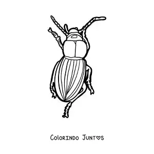 Desenho para colorir de um besouro caminhando