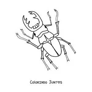 Desenho para colorir de besouro-veado