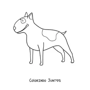 Desenho para colorir de um bull terrier