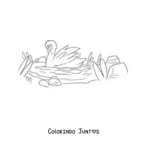 Desenho para colorir do Patinho Feio transformado em um lindo cisne