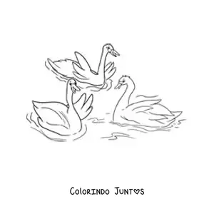 Desenho para colorir do Patinho Feio grande juntando-se aos cisnes