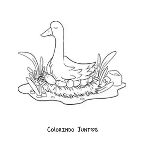 Desenho para colorir da mãe do Patinho Feio chocando os ovos