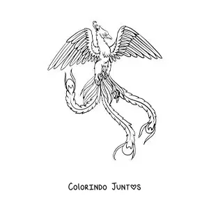 Desenho para colorir de uma fênix