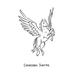 Desenho para colorir de Pégaso em duas patas