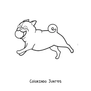 Desenho para colorir de um pug correndo mordendo uma bola