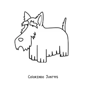 Desenho para colorir de um terrier escocês