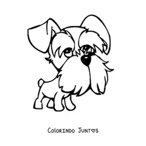 Desenho para colorir de uma caricatura de um schnauzer