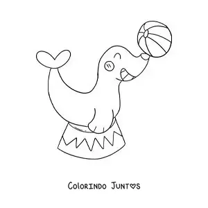 Desenho para colorir de uma foca de circo equilibrando uma bola
