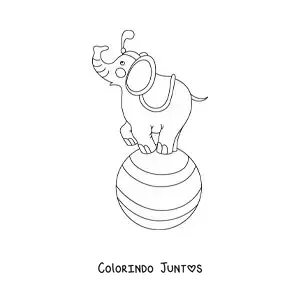 Desenho para colorir de um elefante de circo animado sobre uma bola