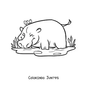 Desenho para colorir de um hipopotamo de zoologico animado bebendo de um lago
