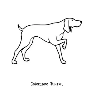 Desenho para colorir de um cão de caça