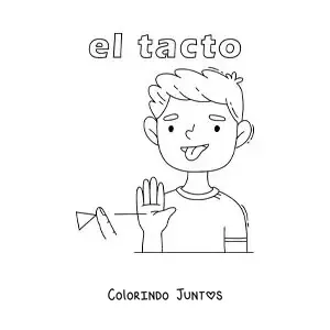 Desenho para colorir do sentido do tato no corpo humano para crianças