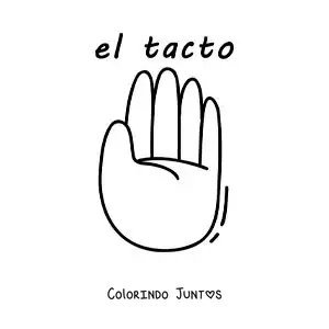 Desenho para colorir de ficha educativa do sentido do tato