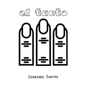 Desenho para colorir dos dedos como parte do sentido do tato