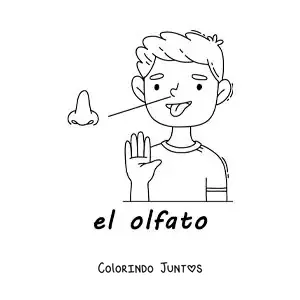 Desenho para colorir do sentido do olfato no corpo humano para crianças