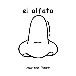 Desenho para colorir de ficha educativa do sentido do olfato