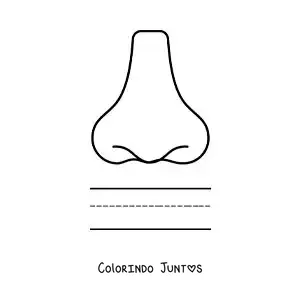 Desenho para colorir de atividade educativa para crianças sobre o sentido do olfato