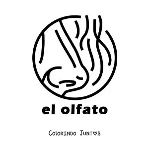 Desenho para colorir de um nariz cheirando com o texto "o olfato"