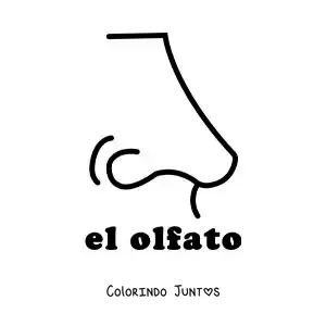 Desenho para colorir do nariz como símbolo do sentido do olfato