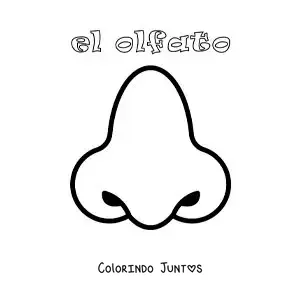 Desenho para colorir do nariz e do sentido do olfato para crianças