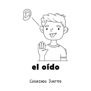 Desenho para colorir do sentido da audição no corpo humano para crianças