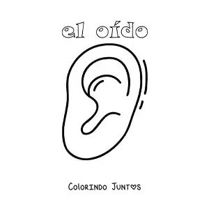 Desenho para colorir da orelha como parte do sentido da audição para crianças