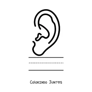 Desenho para colorir de atividade educativa para crianças sobre o sentido da audição