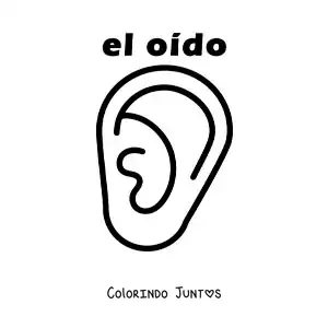 Desenho para colorir de ficha educativa do sentido da audição