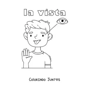 Desenho para colorir do sentido da visão no corpo humano