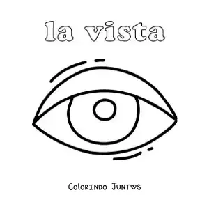 Desenho para colorir do olho e do sentido da visão
