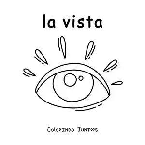 Desenho para colorir de ficha educativa sobre o sentido da visão