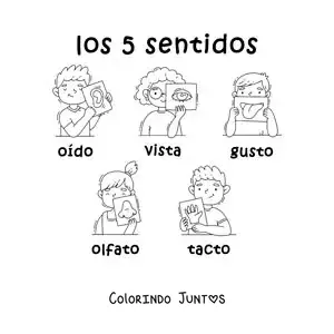 Desenho para colorir de crianças animadas com os 5 sentidos