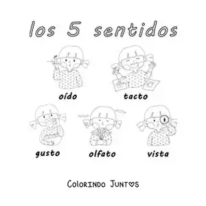 Desenho para colorir de uma menina mostrando os 5 sentidos