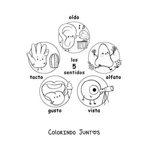 Desenho para colorir de desenhos animados dos 5 sentidos para crianças