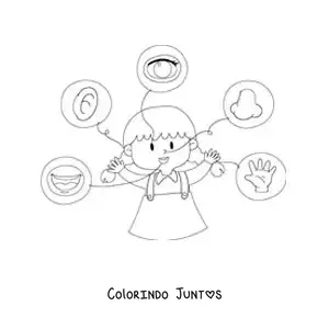 Desenho para colorir dos 5 sentidos indicados no corpo humano