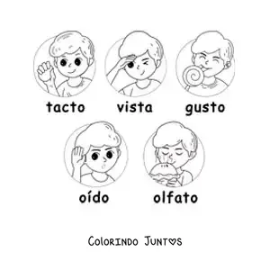 Desenho para colorir de desenhos animados dos cinco sentidos para crianças