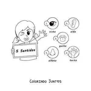 Desenho para colorir de uma menina animada com os cinco sentidos e seus nomes