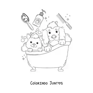 Desenho para colorir de um cachorro e um gato fofos tomando banho
