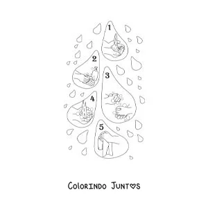 Desenho para colorir de gotas de agua enumerando os passos para a lavagem das maos
