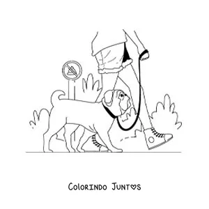 Desenho para colorir de uma garota passeando com seu cachorro pelo parque