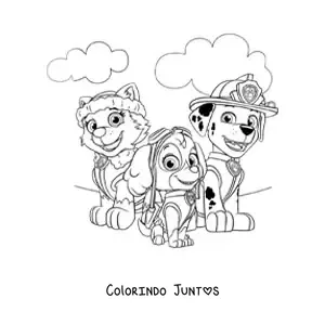 Desenho para colorir da Everest, da Skye e do Marshall da Patrulha Canina