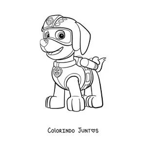 Desenho para colorir do Zuma da Patrulha Canina